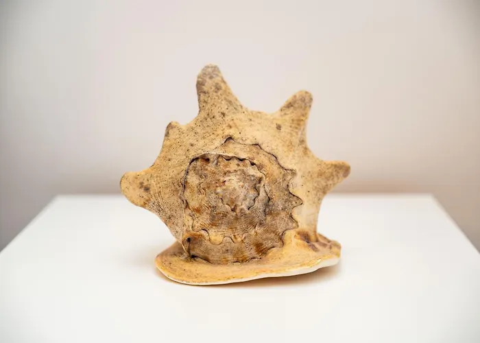 Centre & Teali Appartamento *